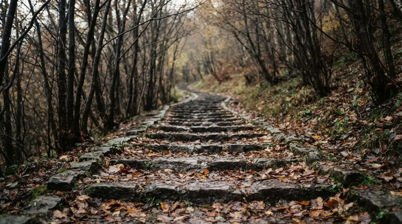 Eine Steintreppe führt einen Hügel hinauf, die Stufen sind mit Herbstlaub bedeckt und seitlich stehen kahle Bäume.