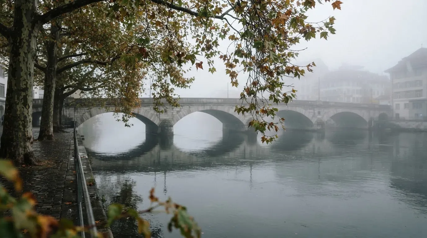 Ein breiter Fluss fliesst unter einer Steinbrücke im Nebel, am Ufer stehen Platanen mit nassen Blättern.