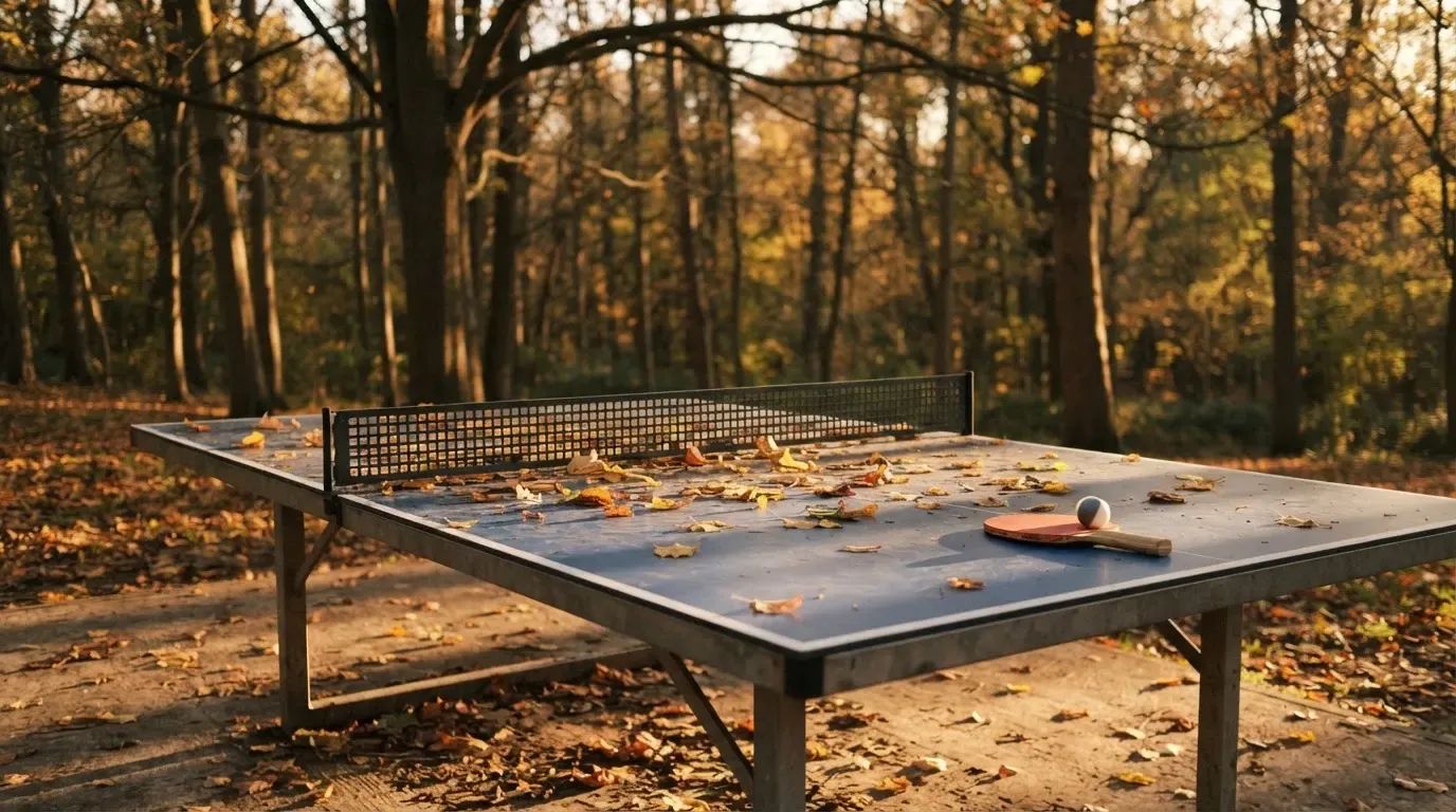 Eine Tischtennisplatte im Freien unter Bäumen, Herbstlaub liegt auf der Platte, das Licht fällt schräg durch die Äste