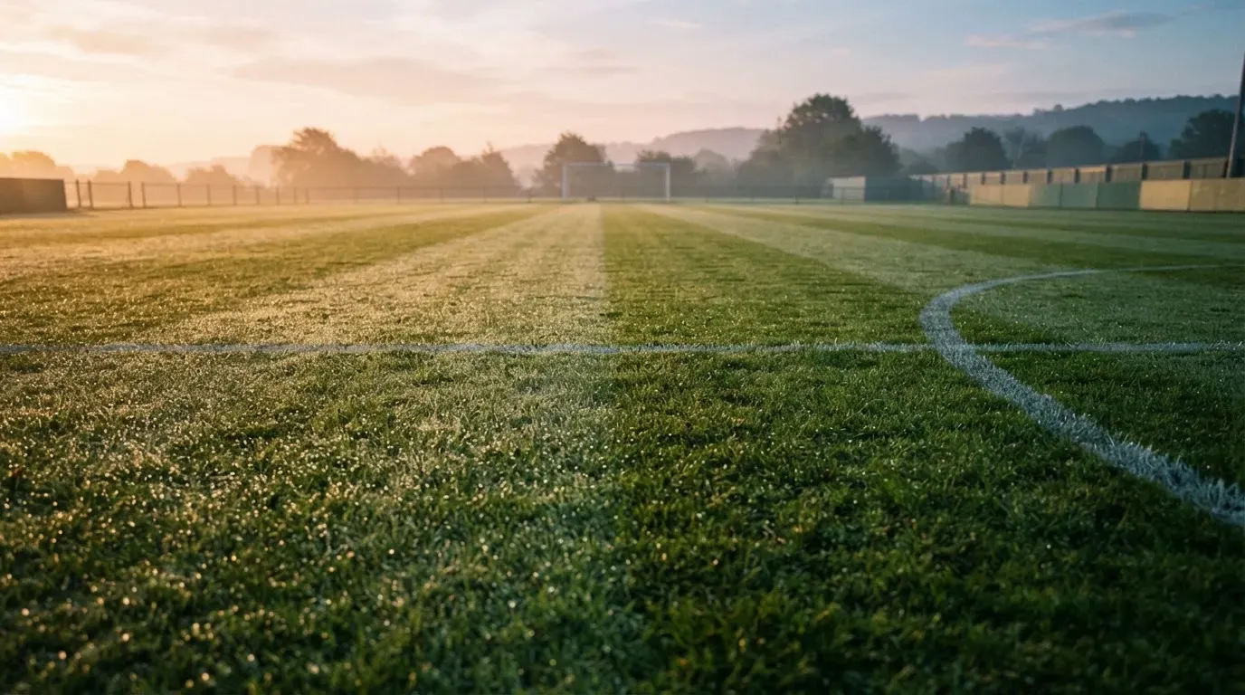 Ein Rasenspielfeld bei Sonnenaufgang, die Mittellinie verläuft quer durchs Bild und Tau glitzert auf dem Gras.